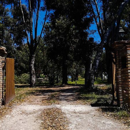 Antonia Beachfront Villa Lefkímmi Eksteriør billede