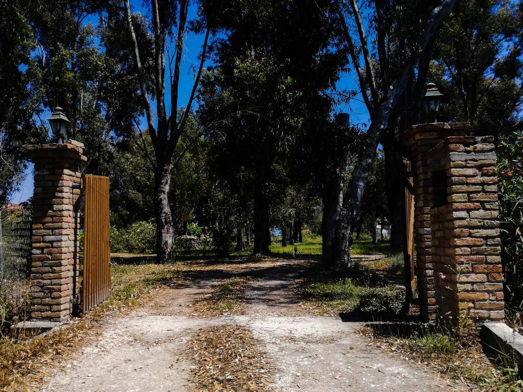 Antonia Beachfront Villa Lefkímmi Eksteriør billede